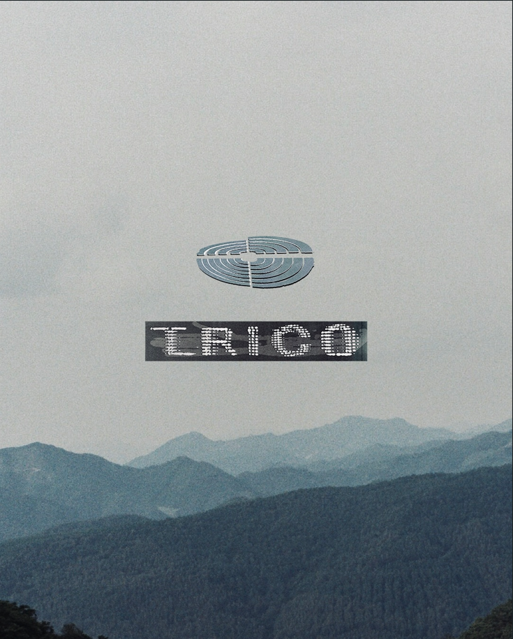 가을 초원의 스키장으로 옮겨간 서울의 언더그라운드 클럽 문화, TRICO 페스티벌